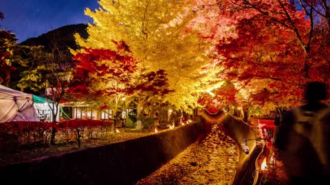 🗻 Mount Fuji Yamanashi, Japan in Autumn 🍁🍂【4K】