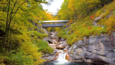 Enchanting Autumn Forests with Beautiful Piano Music