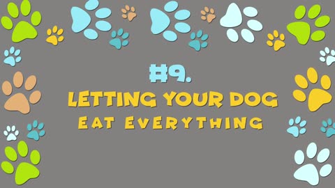 12 Harmful Things You Do to Your Dog Without Realizing It