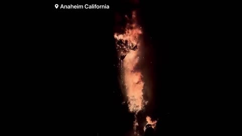 Disneyland 'Fantasmic' Fire Engulfs 45-foot Dragon In Anaheim, California