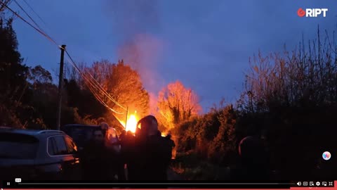 Newtownmountkennedy-Fatima Gunning of Gript journalist is peppered sprayed (25-04-24)