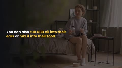 How to Give CBD Oil to Dogs