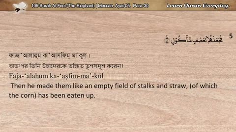 Tilawatul Quraan,105 Surah Al-Feel (The Elephant_হাতি) _ Quran Arabic_Bangla