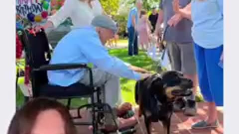 A hot diggity doG 100th birthday!