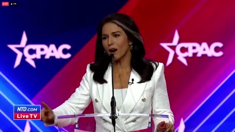 Tulsi Gabbard Roasts The Democrat Party To A Burnt Crisp, They Pose A Serious Threat To Our Freedoms