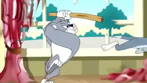 Tom and Jerry New Cartoons Compilation