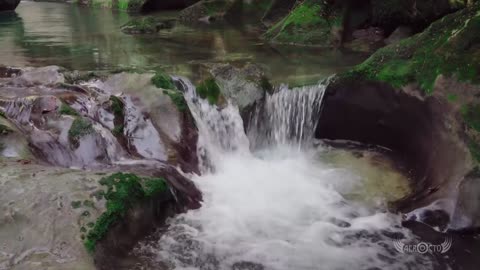 Living water. Beautiful nature with pleasant music.