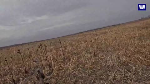 Typhoon-VDV multi-purpose armoured car in action