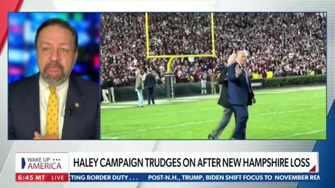 70% of Haley Voters in New Hampshire NOT Republicans. Seb Gorka joins Rob Finnerty on NEWSMAX