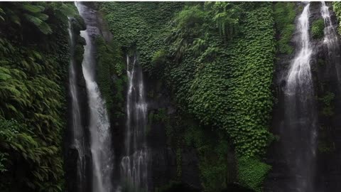 The Water fall & Greenery is an amazing view for relaxement _ Get more such views with NatureZone01