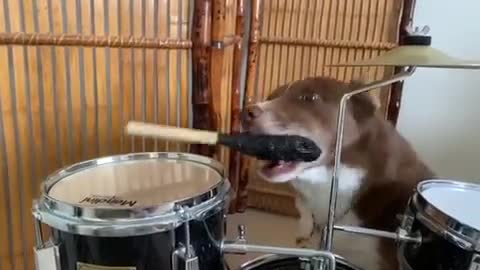 DOGGY THE DRUMMER REHEARSAL.mp4