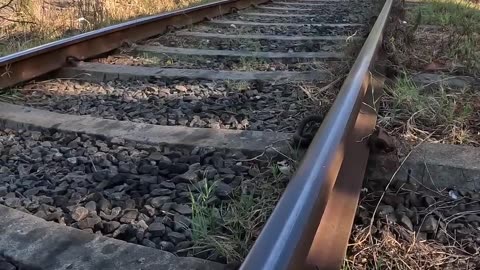 Train VS Sunlight Soup