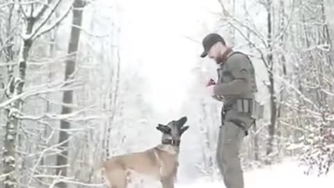 Indian army video dog training