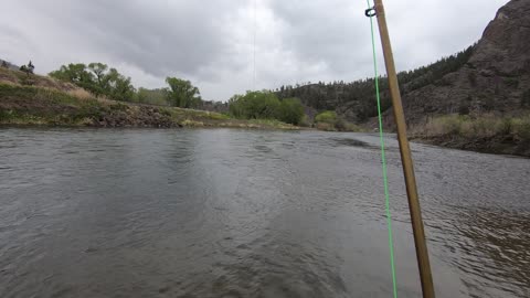 Sweet trout catch and release