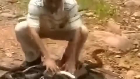 The man brought 300 snakes in a sack to the forest, then whatever he did, the hair will stand