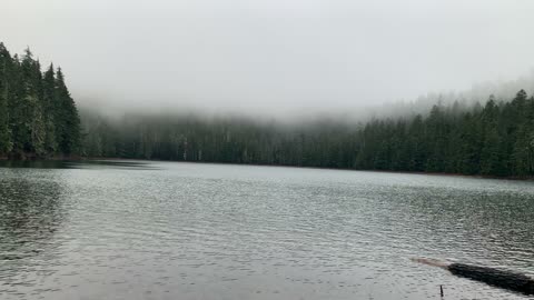 Oregon – Mount Hood National Forest – Shoreline of Lower Twin Lake – 4K