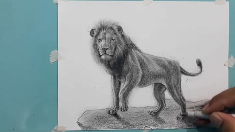 how to draw a lion