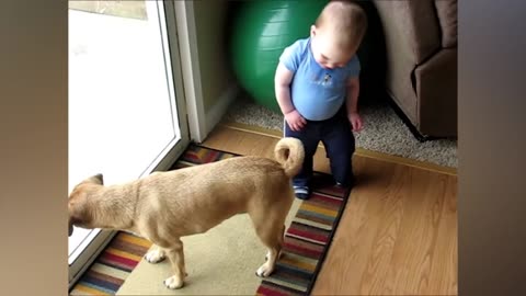 Funny Baby And Pets