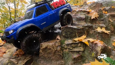 08. Traxxas, TRX4, Sport, Blue, rock crawl