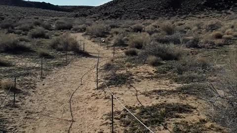 Road Runner spotted in the desert in New Mexico. 1/19/23 Albuquerque,NM