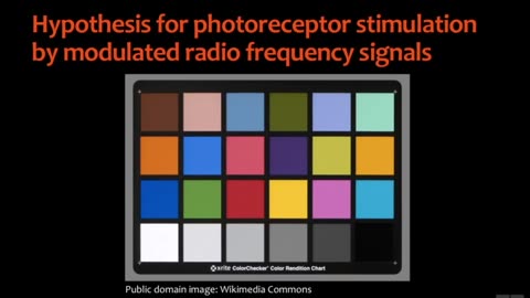 No-Touch Microwave Torture by Electronic Harassment—New Socio-Criminal Problem of Global Proportions