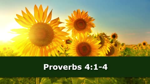 1 Minute -- Proverbs 4 Devotional -- August 4, 2023