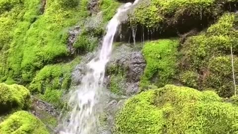 Anacortes Community Forest Land trails - Base of Mt Erie area and Heart Lake