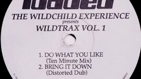 The Wildchild Experience - Bring It Down