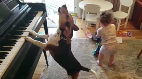 Singing dog loves to play the piano while baby is dancing