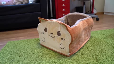 The Amazing Cat Bread Box