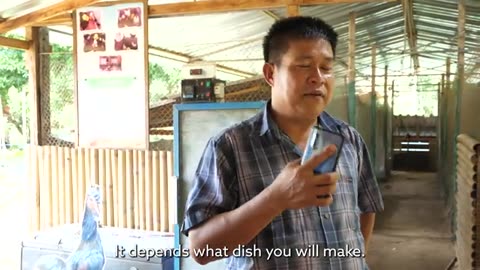 Village Food in Thailand - UNIQUE BLACK CHICKEN!!