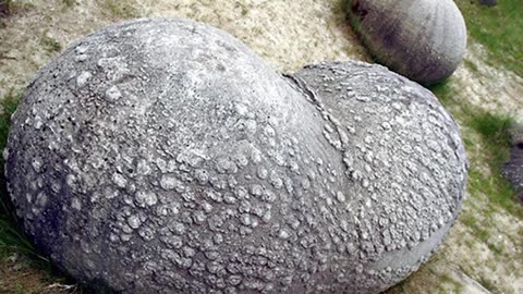 Mysterious Stones MOVE, GROW & BREED in Romania