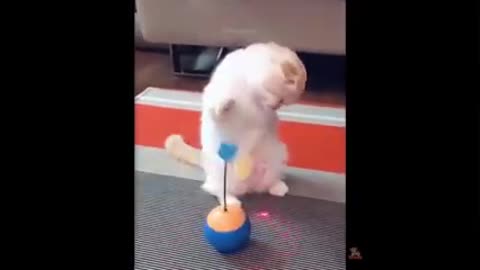 Cutest and Funny viral animal video 2021😂