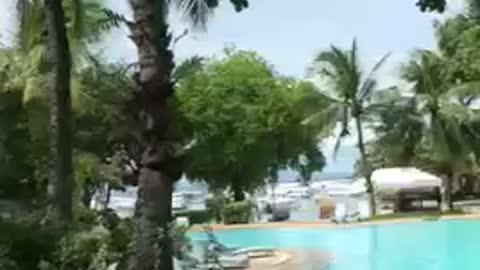 Look at the beautiful Cebu pool view