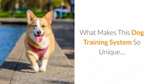 Brain Training for Dogs - Unique Dog Training Course! Easy Sell!