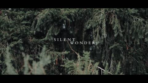 Silent Wonder _ Canon R5 Cinematic