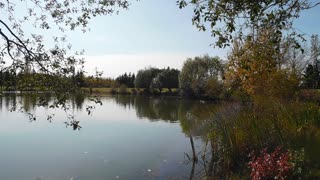 Tranquil lake . Ambient sounds