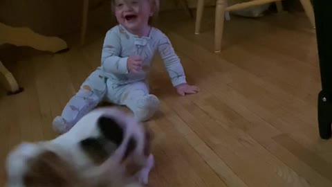 Baby and Basset Hound Puppy Make Fast Friends