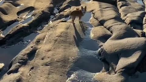 California Storm Reveals New Terrain