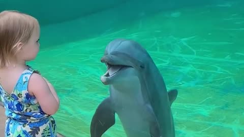 Toddler has adorable interaction with dolphin 😍😍😍