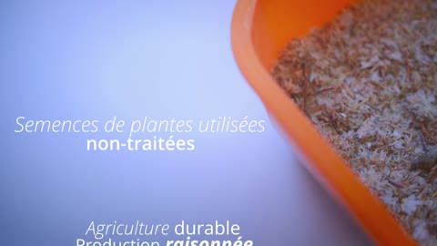 Odyssée environnement - Grand prix innovation dans les technologies et les modèles économiques