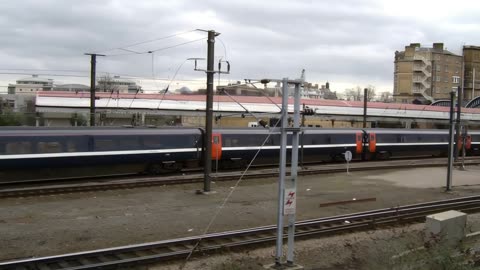 NXEC at York, 2008