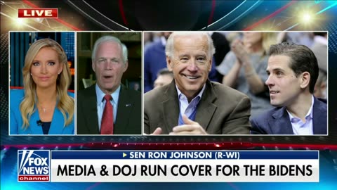 Senator Ron Johnson on Jesse Watters Primetime 6.30.23