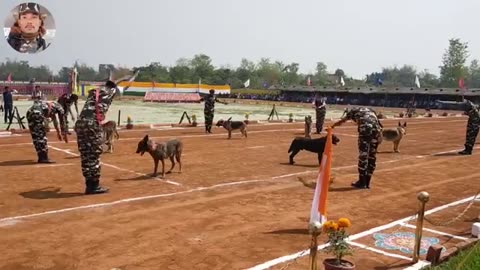 Dogs demo show//passing out parade 23 BN SSB