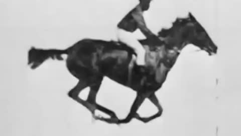 The Horse in Motion - 1878 First Film Ever