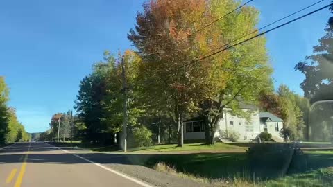 Fall Leafs Changing Color In Beautiful Moncton New Brunswick Canada September 30/2022