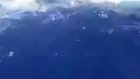 Danger, Viral, ship, ocean, sea