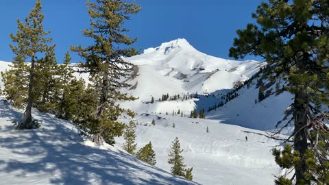 Too Beautiful To Be Real – White River West Sno Park – Mount Hood – Oregon – 4K