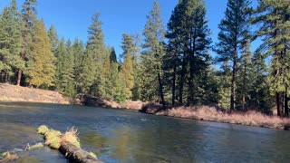 Shoreline Exploring of Metolius River – Metolius River – Central Oregon