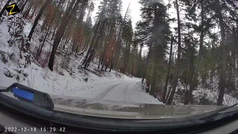 Bobcat on South Fork of Salmon River